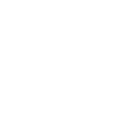 MTN Earth Logo